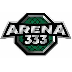 arena333 APK Idle